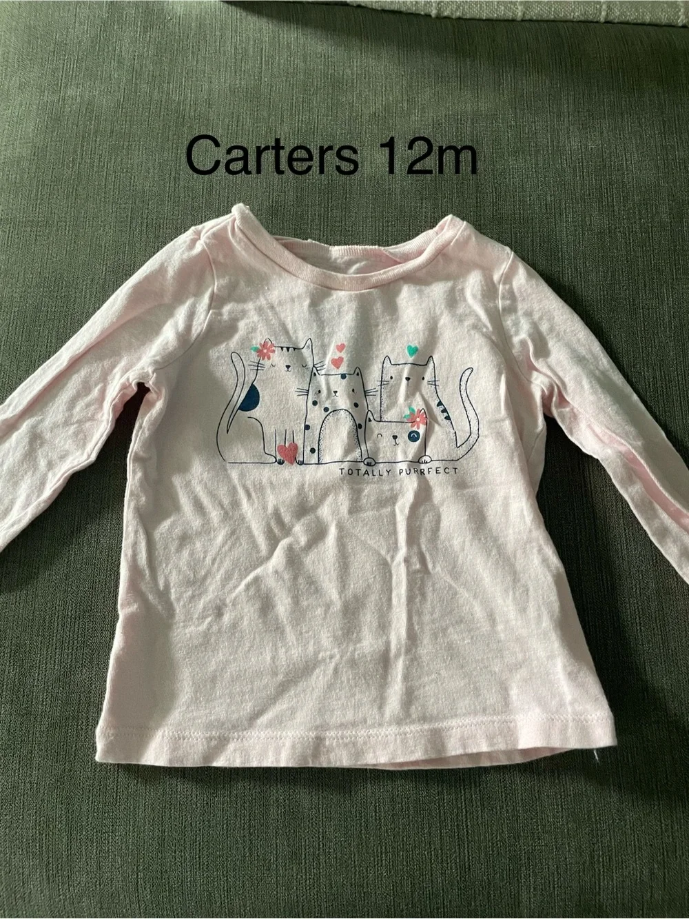 Carter's 12m skort and long sleeve tshirt